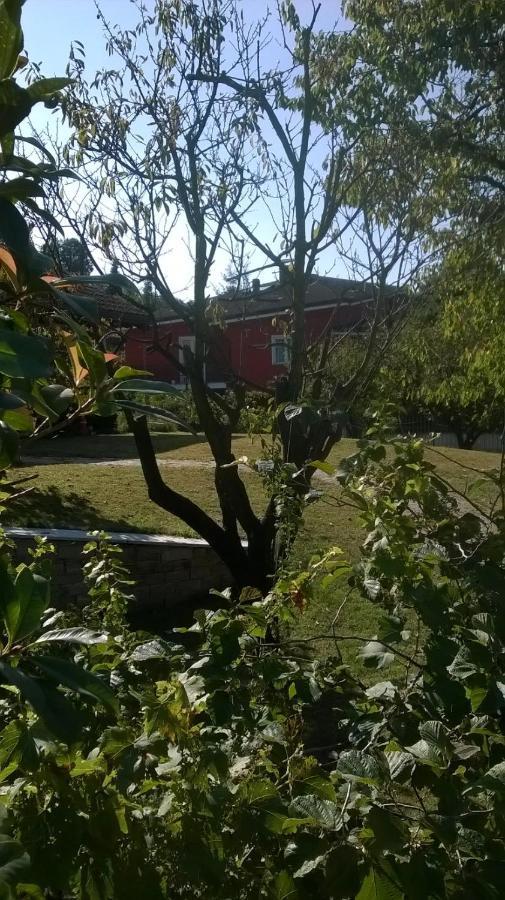 'L Sass Bed and Breakfast Borgomanero Exteriör bild