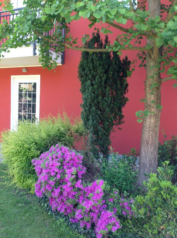 'L Sass Bed and Breakfast Borgomanero Exteriör bild