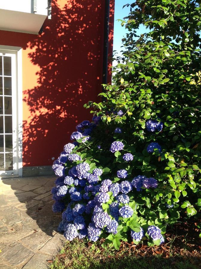 'L Sass Bed and Breakfast Borgomanero Exteriör bild