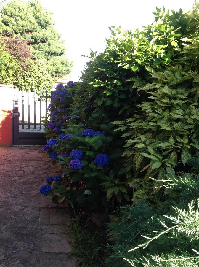 'L Sass Bed and Breakfast Borgomanero Exteriör bild